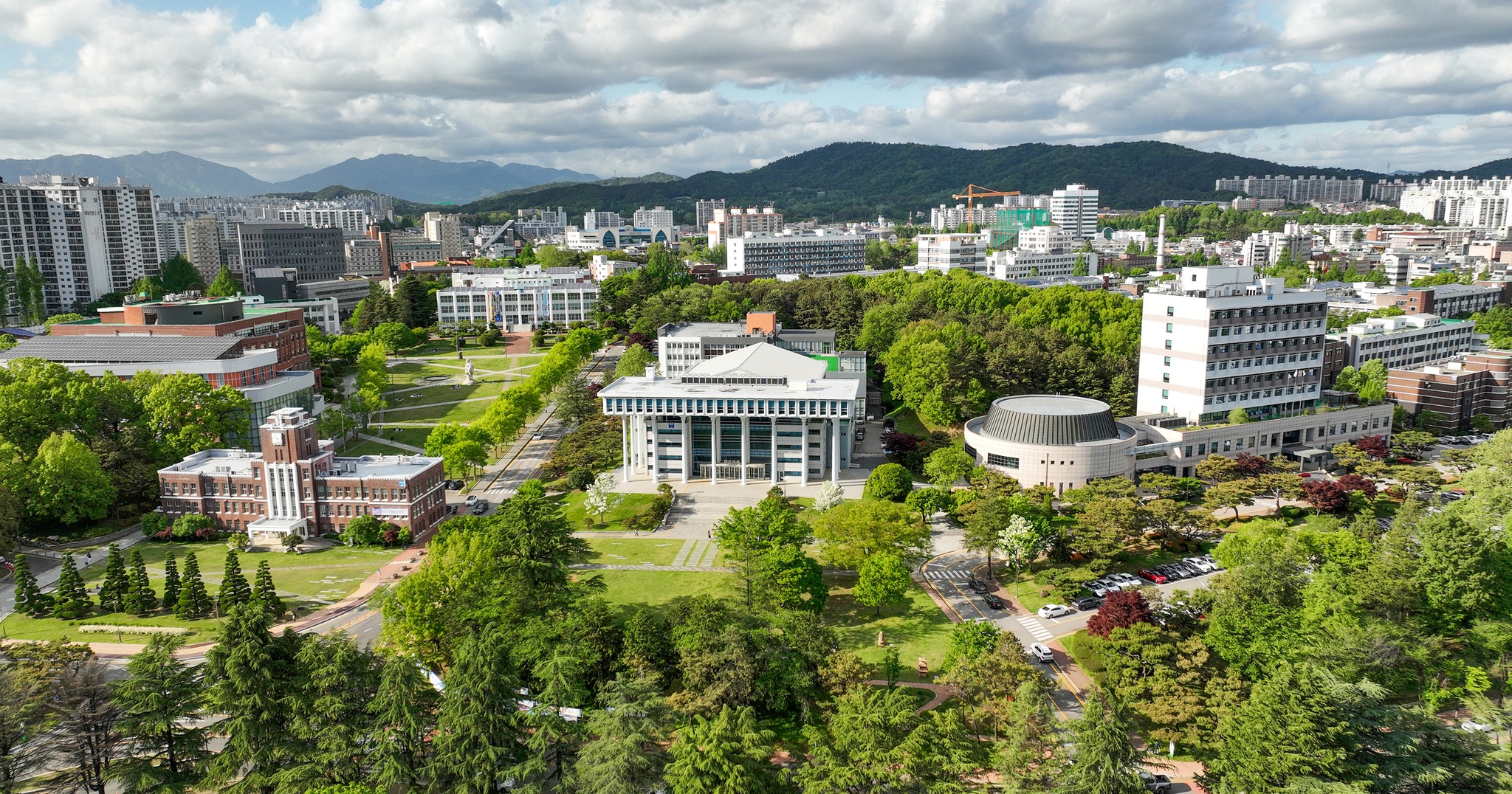 Members 페이지 배경